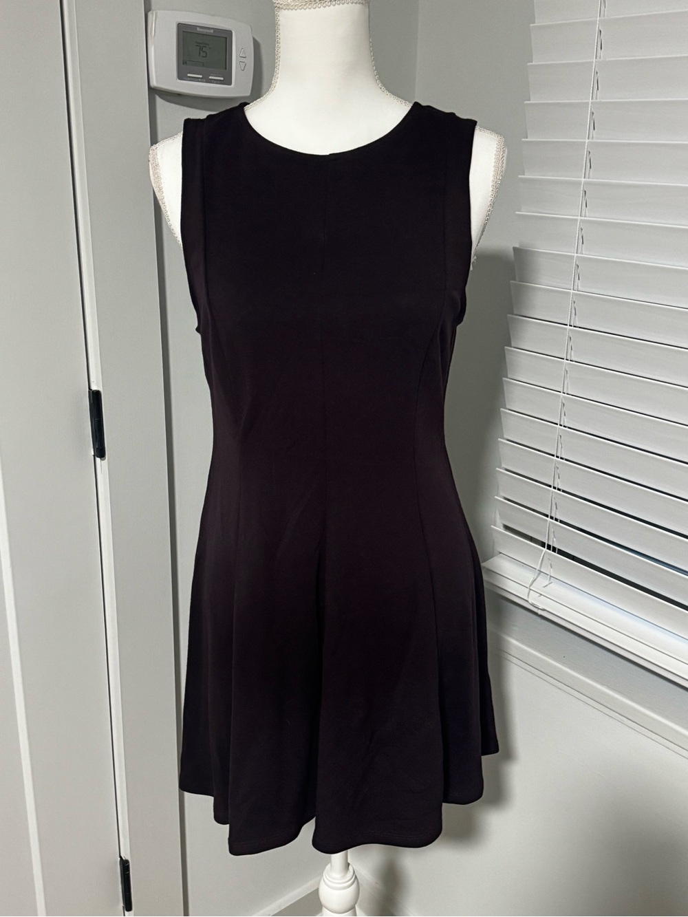 H&M Sleeveless Dark Plum Fit-and-Flare Mini Dress